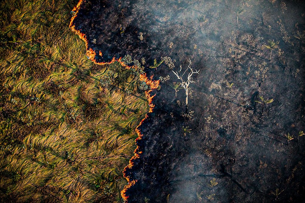 Desmatamento na Amazônia e no Cerrado bate recorde em março