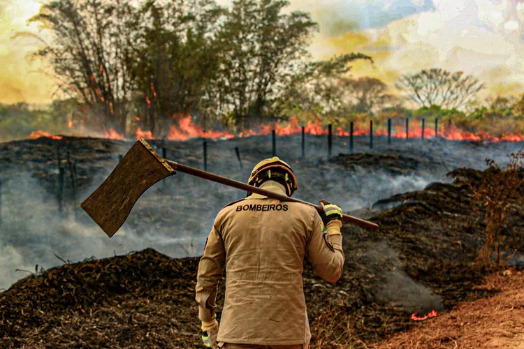 Brigadista combate incêndio no Acre: Brasil registrou em 2020 a maior destruição da Amazônia dos últimos 12 anos (Sérgio Vale/Amazônia Real/Divulgação)