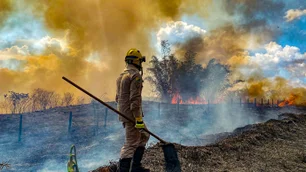 Imagem referente à matéria: Governo anuncia R$ 210 mi para Fundo Amazônia combater desmatamento em áreas críticas