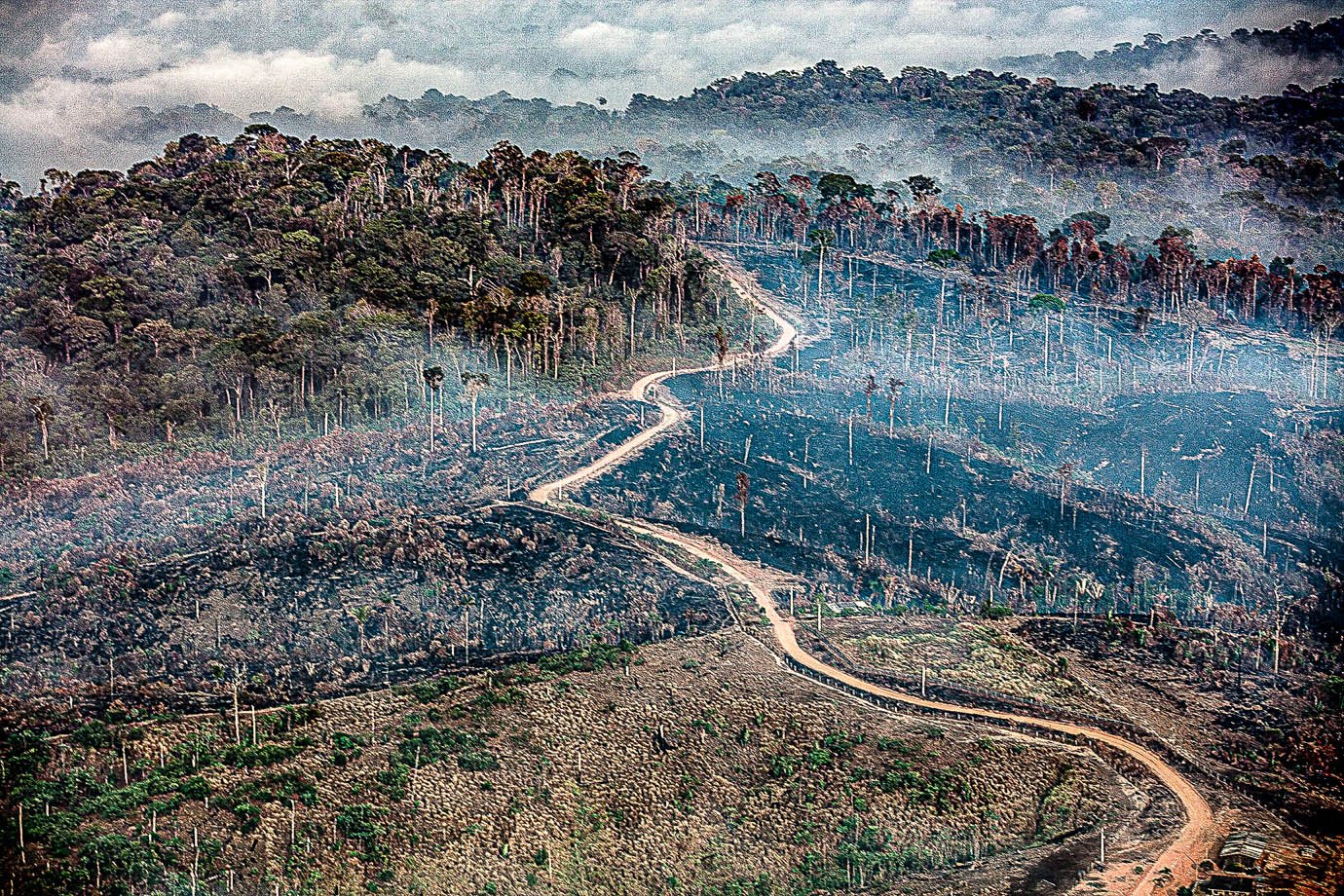 Amazônia Legal: estudo mostra de onde parte a pressão pelo desmatamento