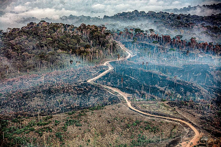 O governo busca melhorar sua imagem perante a comunidade internacional, que questiona a política ambiental do presidente Jair Bolsonaro (Marizilda Cruppe/Amazônia Real/Divulgação)