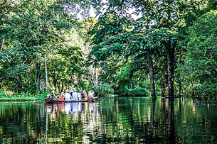 Google faz doação de R$ 20 milhões para o desenvolvimento sustentável da Amazônia