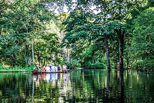 Imagem referente à matéria: Google faz doação de R$ 20 milhões para o desenvolvimento sustentável da Amazônia