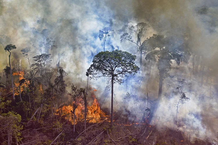 Queimada no Pará: durante sua campanha, Biden afirmou que o Brasil poderá sofrer “consequências econômicas sérias” se a situação na Amazônia não melhorar (Carl de Souza/AFP)