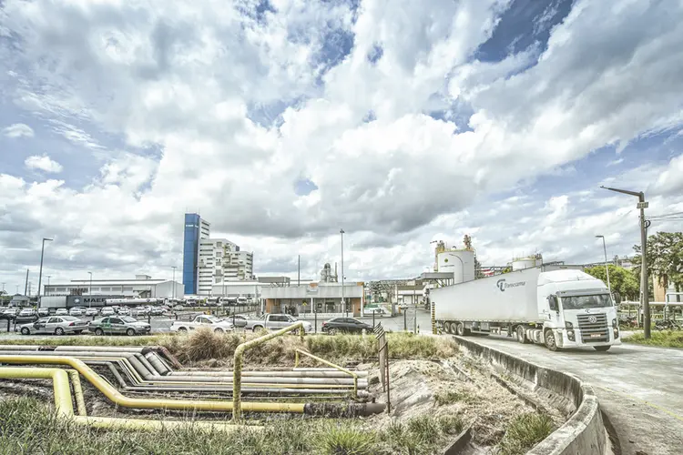 Unidade fabril da Basf em Camaçari, na Bahia: polo industrial vive expansão (Leandro Fonseca/Exame)