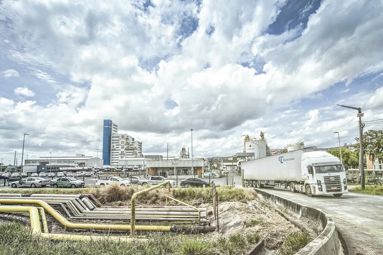 Unidade fabril da Basf em Camaçari, na Bahia: polo industrial vive expansão (Leandro Fonseca/Exame)