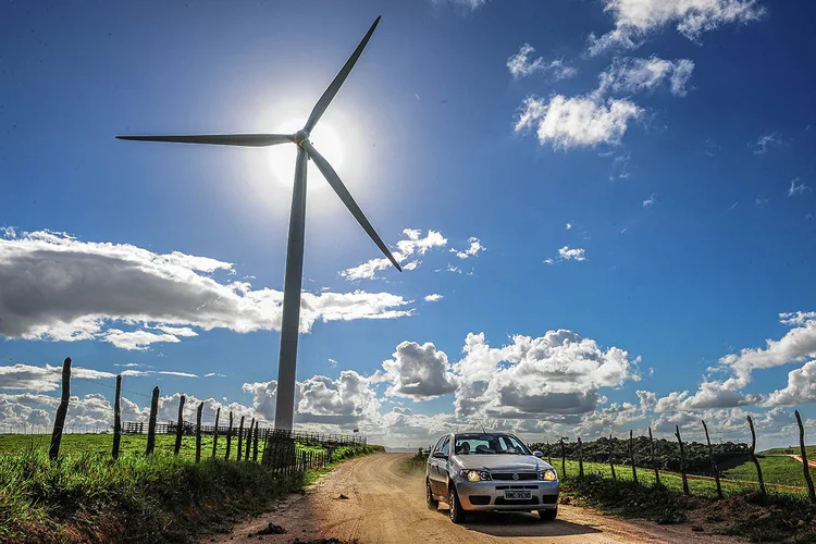 Energia eólica gerada no complexo seria usada para consumo da WEG (Germano Lüders/Exame)