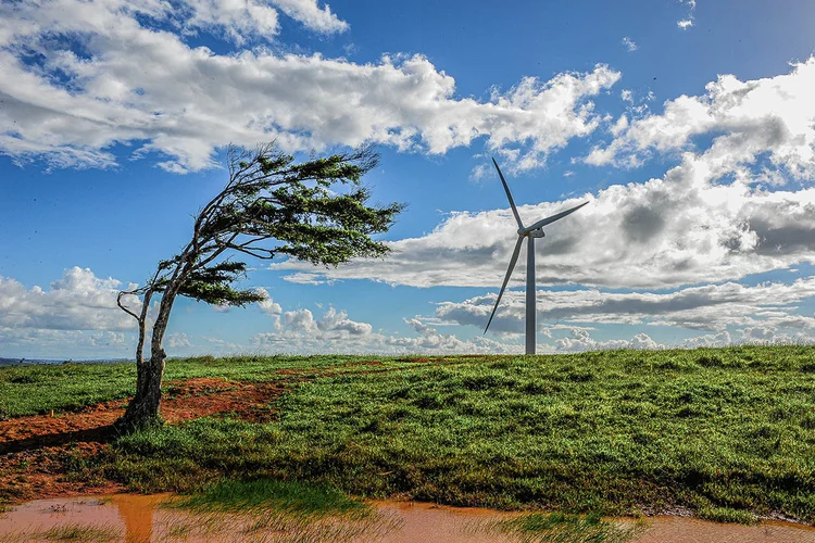 Usina eólica no interior de Pernambuco: Cortes ou reduções temporárias da geração de energia, ordenadas pelo Operador Nacional do Sistema (ONS), são denominadas “curtailments” (Germano Lüders/Exame)