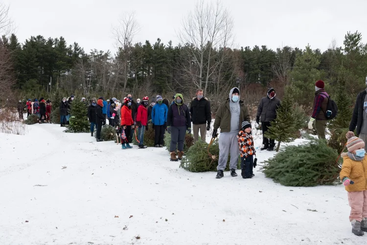 Canadá: com a pandemia, a corrida por itens natalinos começou muito antes neste ano.  (Ian Willms/The New York Times)