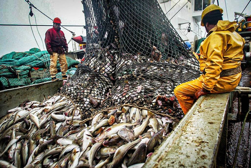 Barco pesqueiro na França: governos fornecem 22 bilhões de dólares em subsídios à pesca todos os anos (MARCEL MOCHET/AFP/Getty Images)