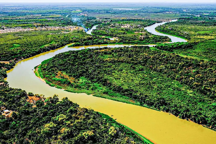 Imagem aérea do Pantanal (Mayke Toscano/SECOM-MT/Divulgação)
