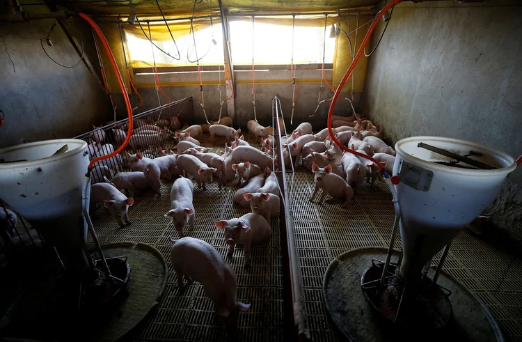 ABPA: números divulgados pelo Ministério da Economia na véspera mostraram que o Brasil registrou recordes de volumes embarcados de suas principais commodities (Rodolfo Buhrer/Reuters)