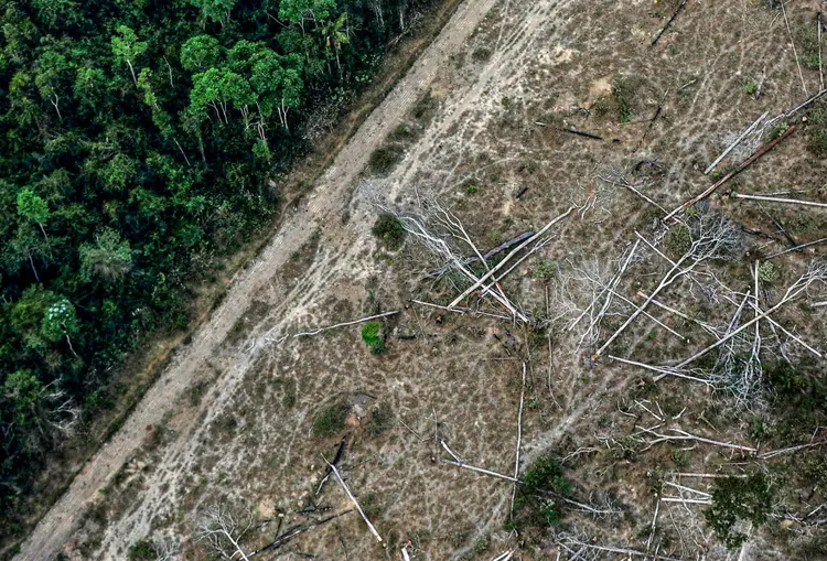 Área desmatada nos arredores de Porto Velho, em Rondônia: os cinco municípios que mais desmataram no mês de julho representam quase um terço de todo o desmatamento identificado na Amazônia no mês de julho (Bruno Kelly/Reuters)