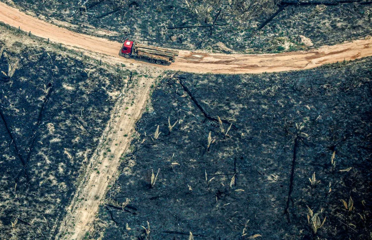 Um caminhão passa por um terreno desmatado na Amazônia em Boca do Acre, estado do Amazonas, Brasil, 24 de agosto de 2019. (Bruno Kelly/Reuters)