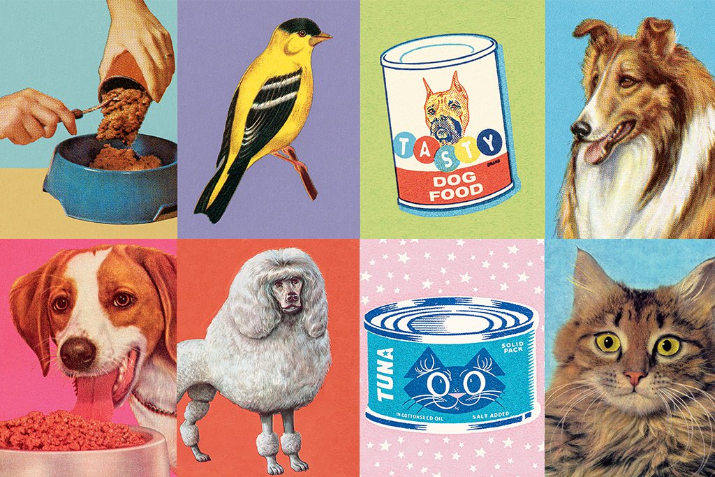 Negócio animal: varejista online quer se tornar a Amazon de produtos para pets