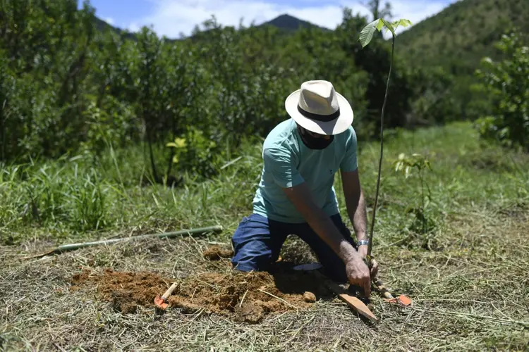 Parente de uma vítima da covid-19 planta uma árvore como parte do projeto Bosques da Memória, na cidade de Silva Jardim, Rio de Janeiro, em 16 de janeiro de 2021 (Florian PLAUCHEUR, Eugenia LOGIURATTO/AFP)