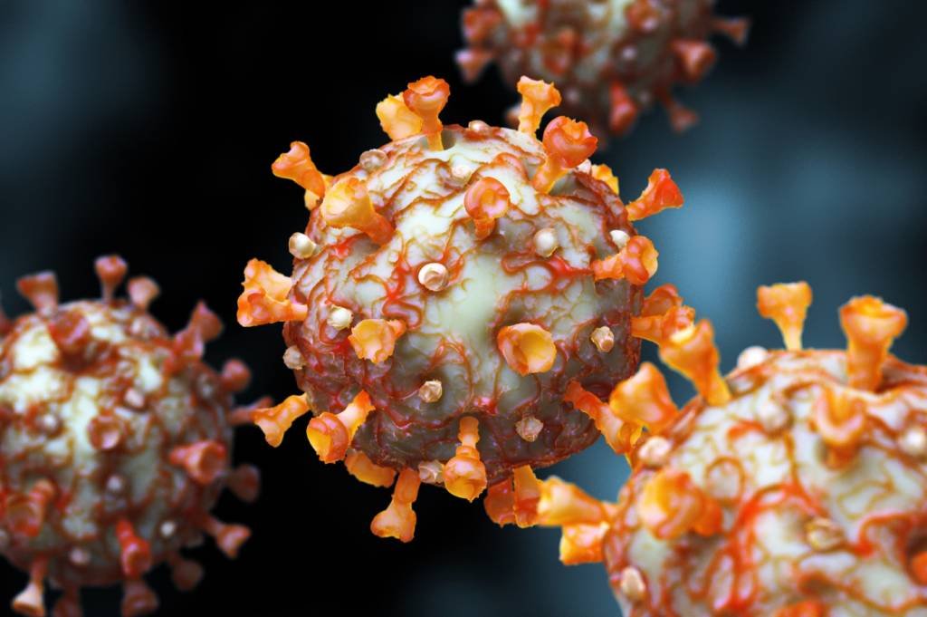 Imagem mostra coronavírus infectando células dos rins humanos