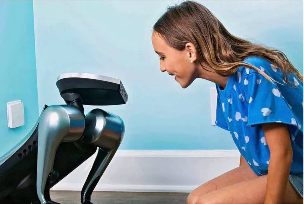 Koda: cão robô é capaz de reagir a emoções humanas; veja vídeo