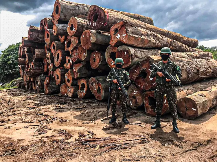 PF: crime ocorreu em região com alto índice de extração ilegal de madeira (Forças Armadas/Divulgação)