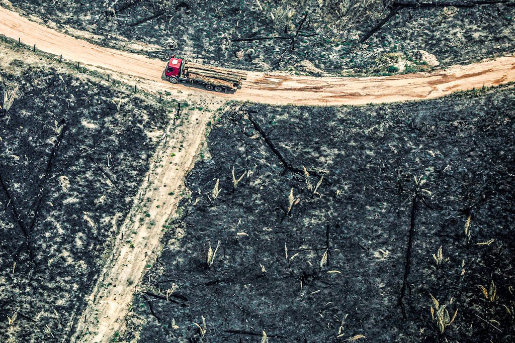 Amazônia: desmatamento em março ficou centrado em cinco municípios (Reuters/Bruno Kelly)