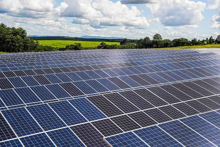 Painéis para a geração de energia solar (Amanda Perobelli/Reuters)