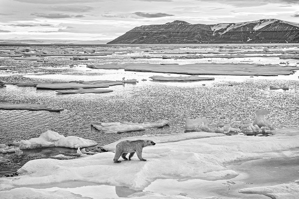 EUA define nova estratégia para o Ártico, que sofre com o aquecimento global