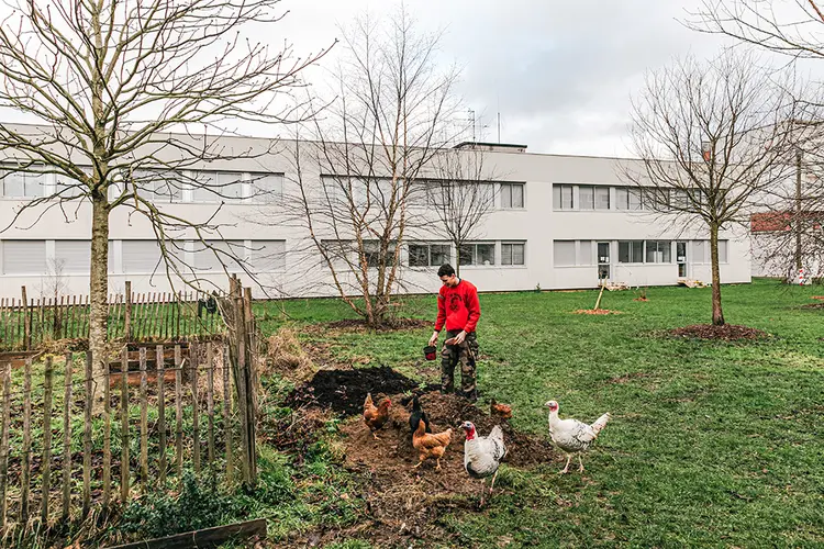 Um aluno do segundo ano da Ecole PolytechniqueÊ trabalha o jardim para a associação de Desenvolvimento Sustentável no campus de Paris, 14 de janeiro de 2021. (Andrea Mantovani/The New York Times)