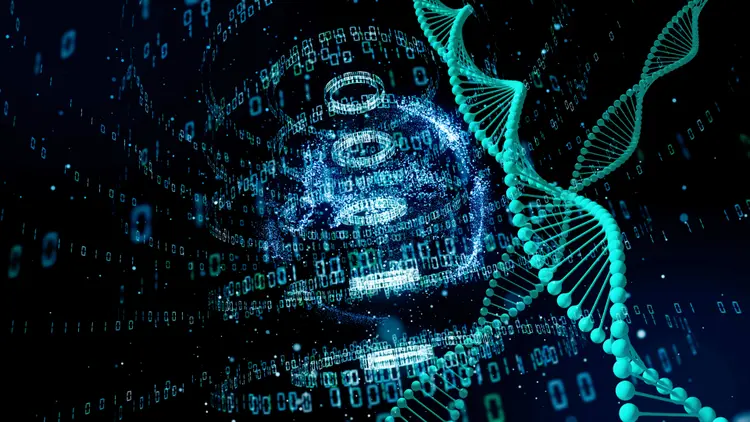 Inteligência artificial: para criar o DNA sintético, os pesquisadores utilizaram o GAN (metamorworks/Getty Images)