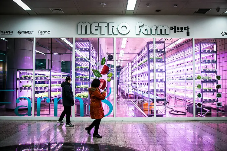Uma fazenda vertical na estação de metro Sangdo, em Seul. (Bloomberg/Reprodução)