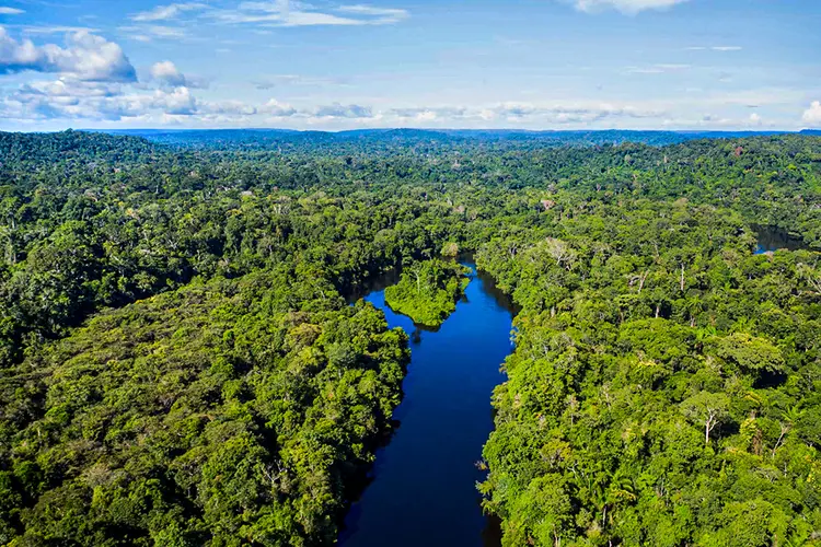Desenvolvimento sustentável na Amazônia é tema de desafio de ciência de dados do BCG para jovens  (Secom-MT/Divulgação)