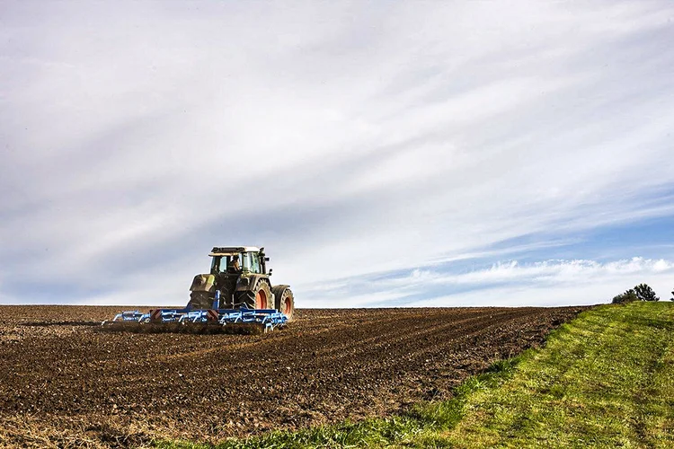 O Brasil é central para a segurança alimentar, serviços ambientais e conservação das florestas e da biodiversidade. (andreas160578/Pixabay/Divulgação)