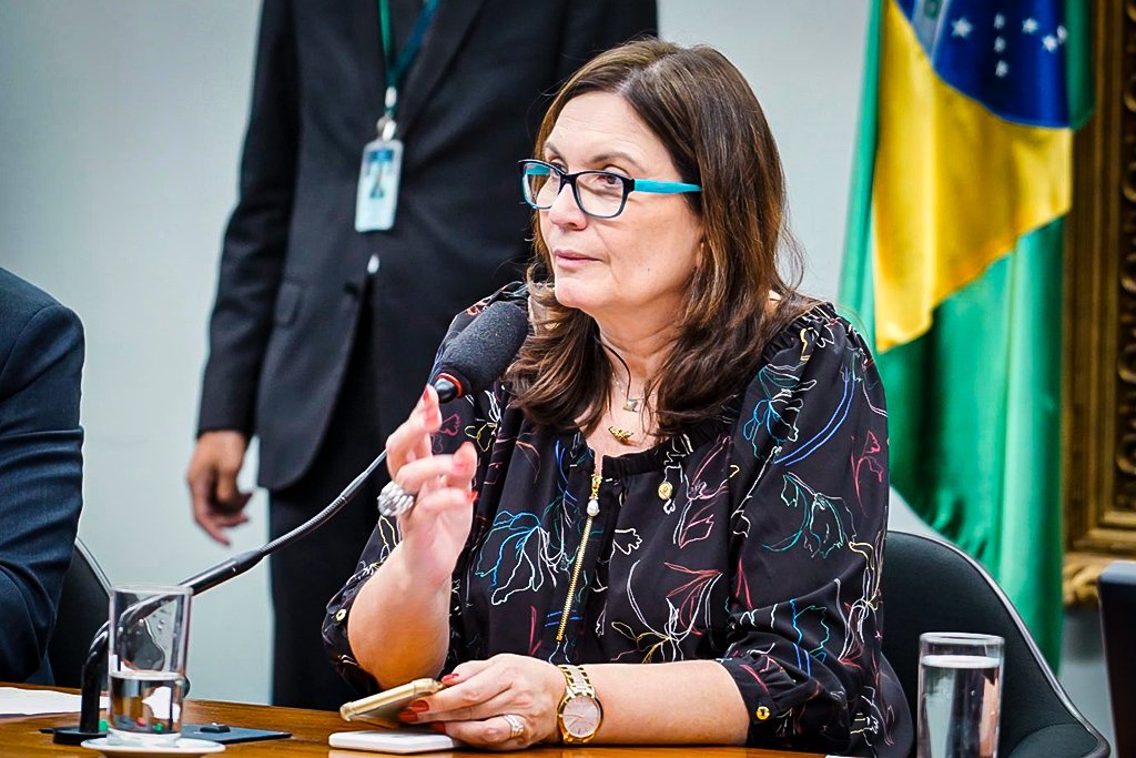 Bia Kicis contrata empresa que divulga fake news sobre urna eletrônica