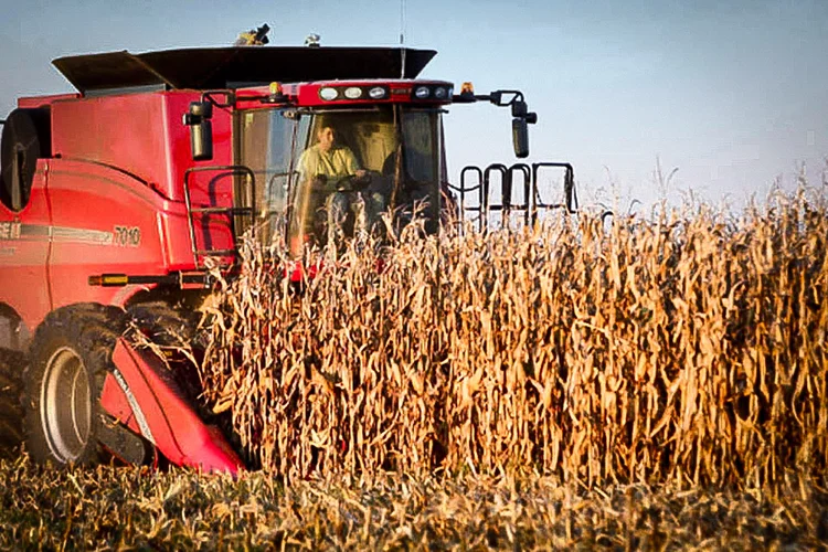 11. Fazendeiro e administrador de agronegócio (Scott Olson/Getty Images/Getty Images)