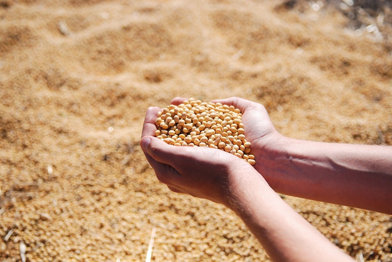 De revendas aos Fiagros, o efeito do El Niño sobre o crédito no agronegócio