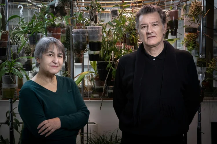 Os arquitetos Anne Lacaton e Jean-Philippe Vassal (AFP/AFP)
