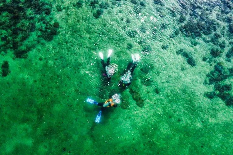 Mergulhadores cientistas marinhos da Escola de Ciências Biológicas da Universidade de Hong Kong (HKU) nadam sobre telhas de argila impressas em 3D, projetadas para funcionar como um leito artificial para corais nas águas de Hoi Parque marinho de Ha Wan em Hong Kong (Anthony Wallace/AFP)