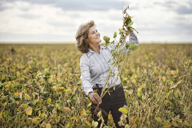 Maria Gatto Missio, produtora de soja no oeste da Bahia: aposta na ciência por meio do uso de insumos naturais, feitos à base de bactérias e fungos (Calan Sanderson/Divulgação)