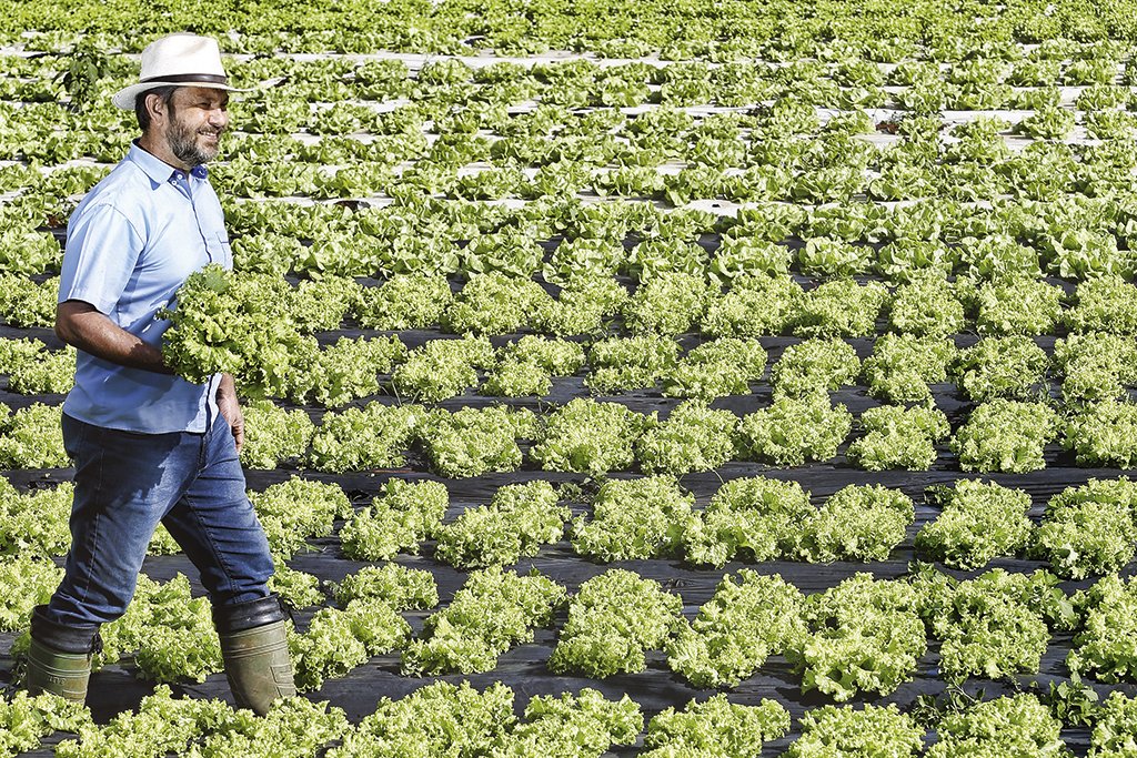 EXAME lança newsletter sobre o agro, com principais notícias do setor