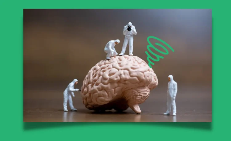 Cerebro procurando clareza (Pexels/Corall Consultoria)