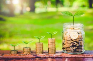 Imagem referente à matéria: Como funciona o “Greenium” em títulos verdes e por que ele impacta o custo de captação sustentável?