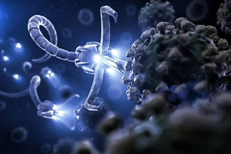 Os nanorobôs podem caçar e combater células cancerígenas, além de realizarem operações computacionais dentro de um organismo vivo (APM/Getty Images)