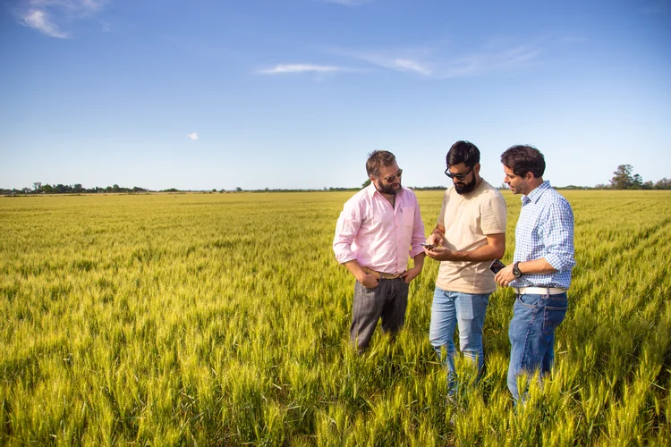 Agrônomos se unem a produtores para encontrar as melhores soluções para problemas no campo (Fiagril/Divulgação)