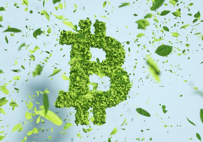 Brasileira Moss vai compensar carbono de fundo de bitcoin de Wall Street