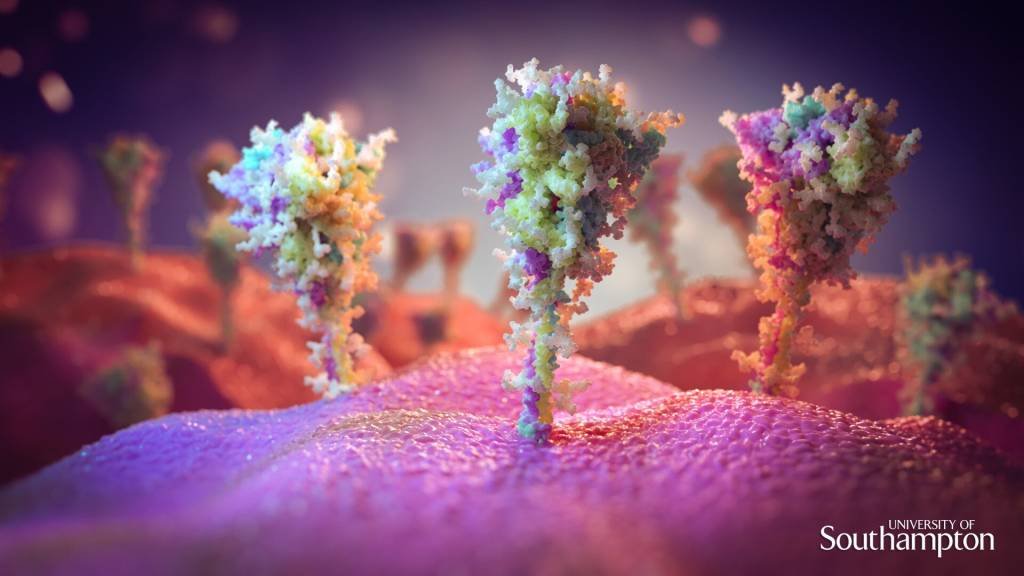 Imagem das proteínas das espículas na superfície de células expostas à vacina, renderizada por um artista (University of Southampton/Reprodução)