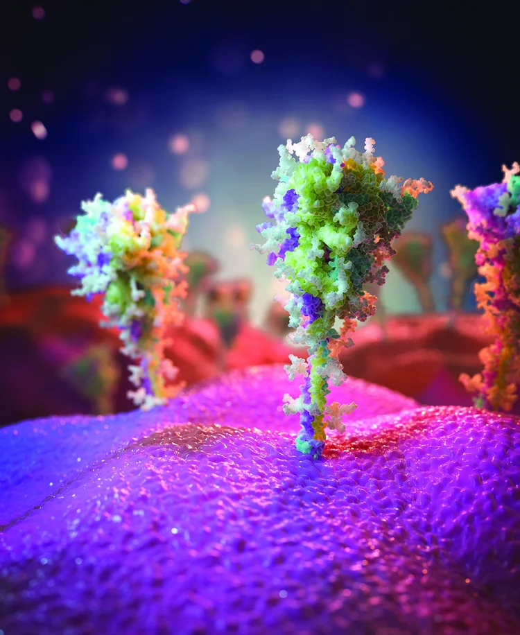 Proteínas das espículas do coronavírus (University of Southampton/Reprodução)