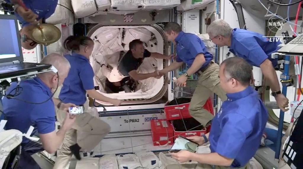 SpaceX: Astronautas chegam à estação espacial; veja vídeo