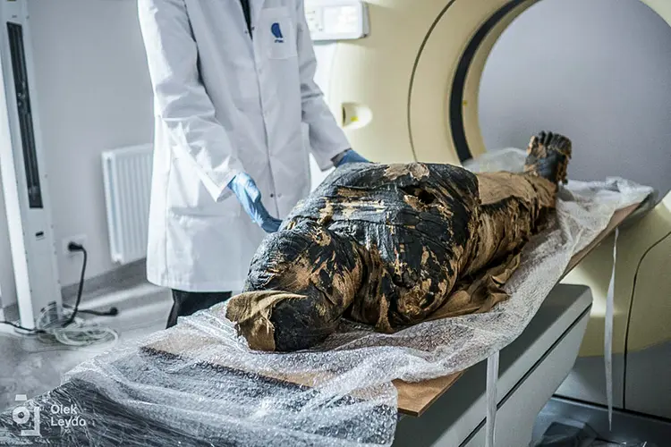 Foto disponibilizada pelo "Projeto Múmia de Varsóvia" em 29 de abril de 2021, mostra a múmia egípcia grávida sendo preparada para imagens de raios-X em um centro médico em Otwock, próximo a Varsóvia, na Polônia (AFP/AFP)