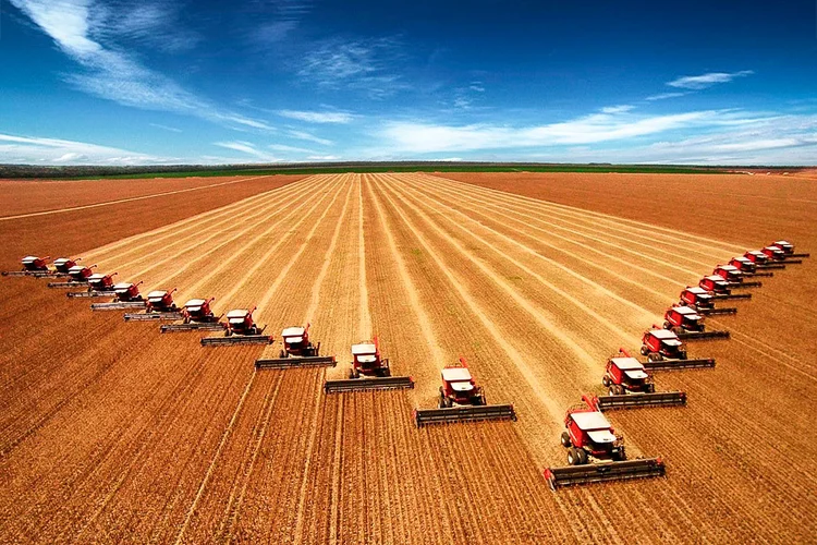 Plantação de soja: agro fechará 2021 em queda, segundo nova projeção do Ipea (Secom/MT/Divulgação)