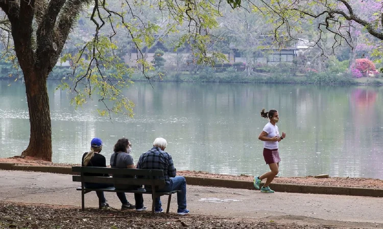 Parque Ibirapuera (Rovena Rosa/Agência Brasil)