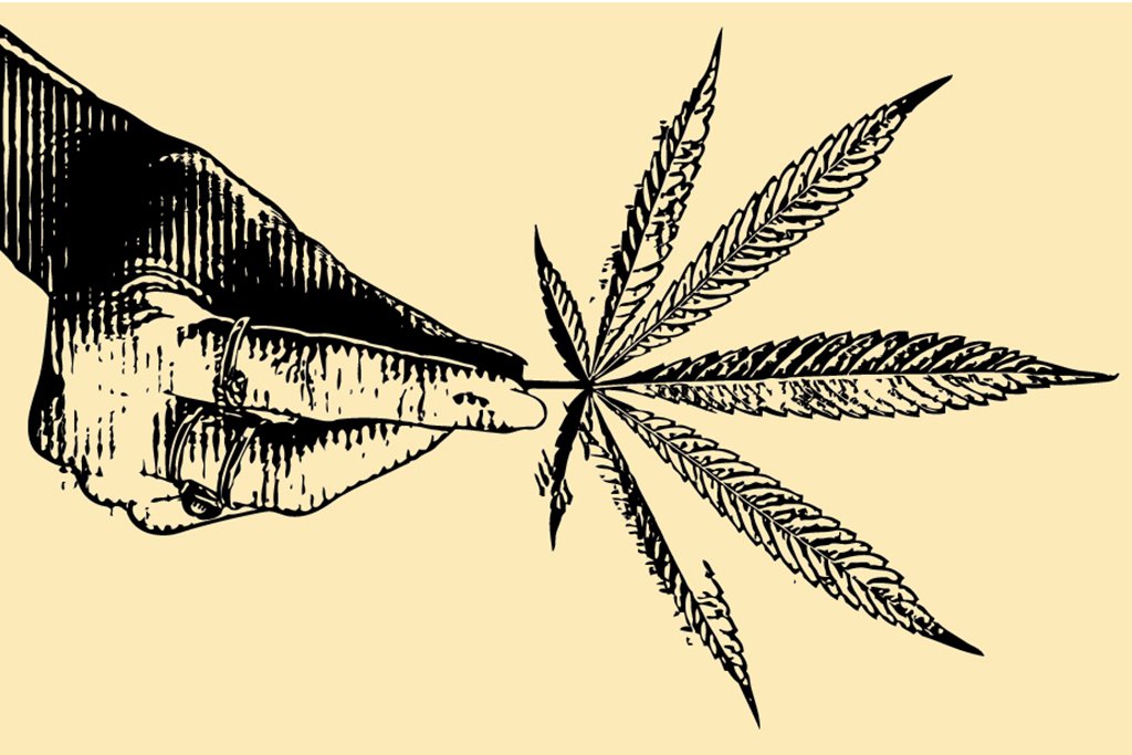 Cannabis virou nova opção para investir, mas a sugestão é ir com calma